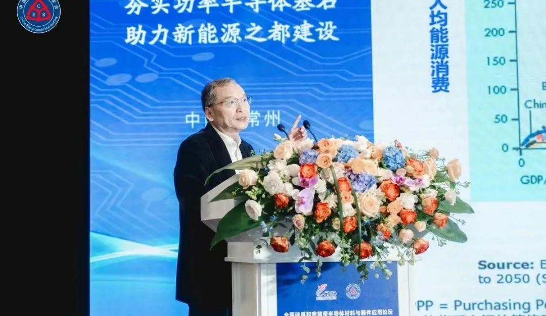  浙江大学求是特聘教授、中国电源学会名誉理事长  徐德鸿