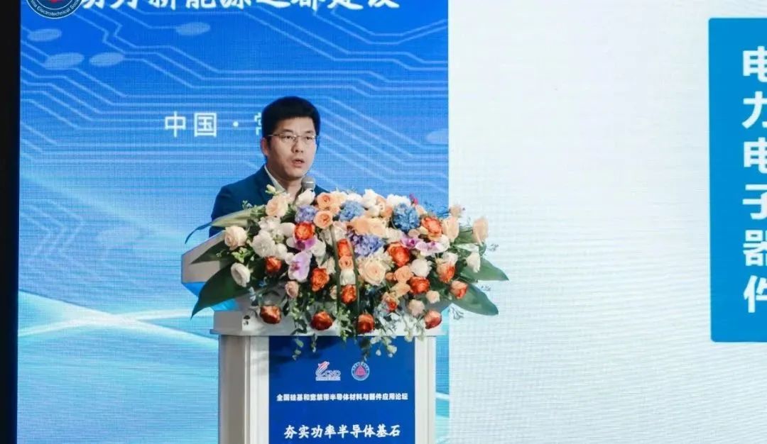 西安交通大学 电力设备电气绝缘国家重点实验室教授  王来利博士