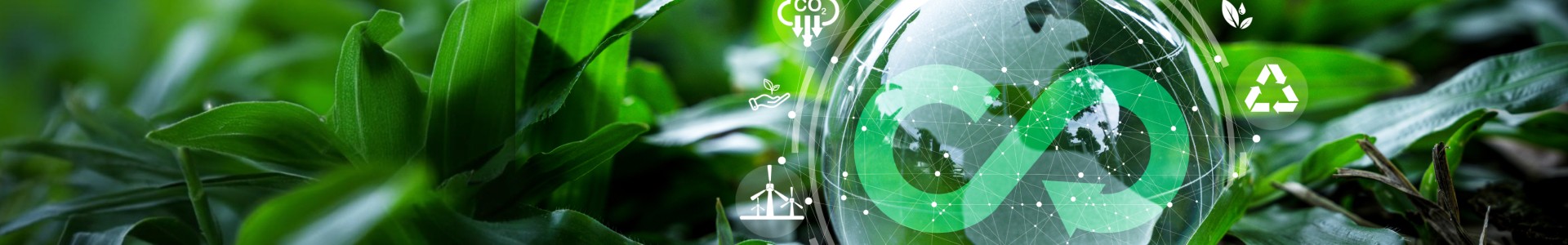 Quality and Reliability